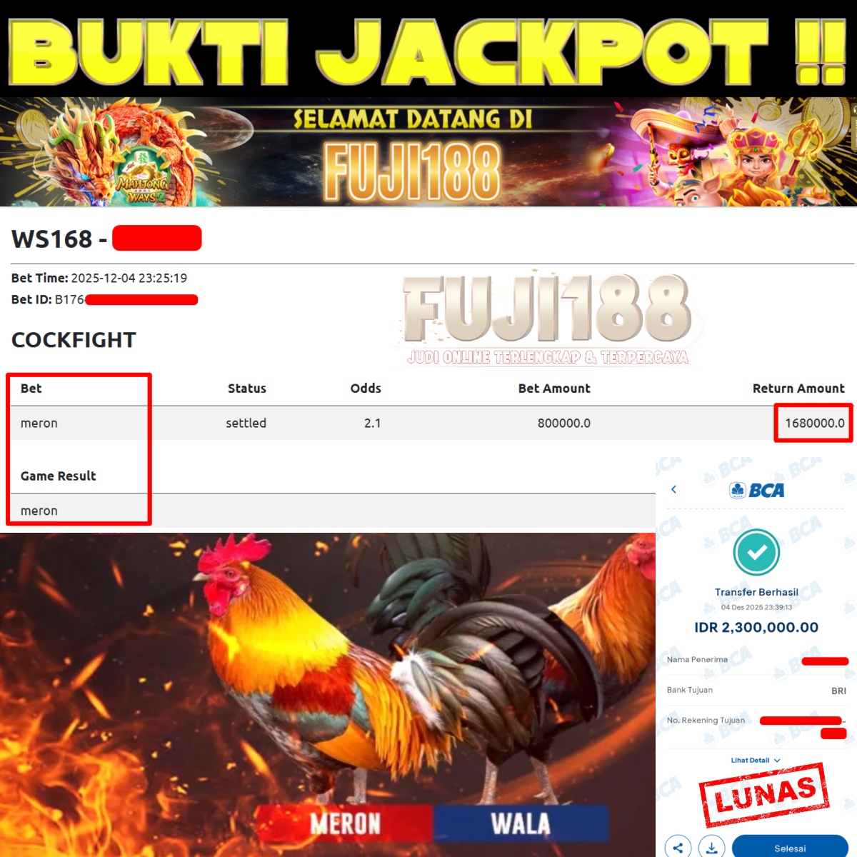 Bukti Kemenangan SABUNG AYAM – WS168